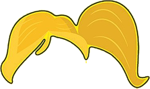 ponytail